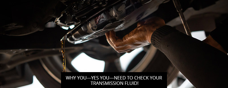 Why You—Yes You—Need To Check Your Transmission Fluid!