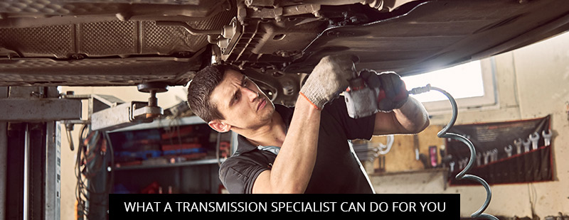 What A Transmission Specialist Can Do For You