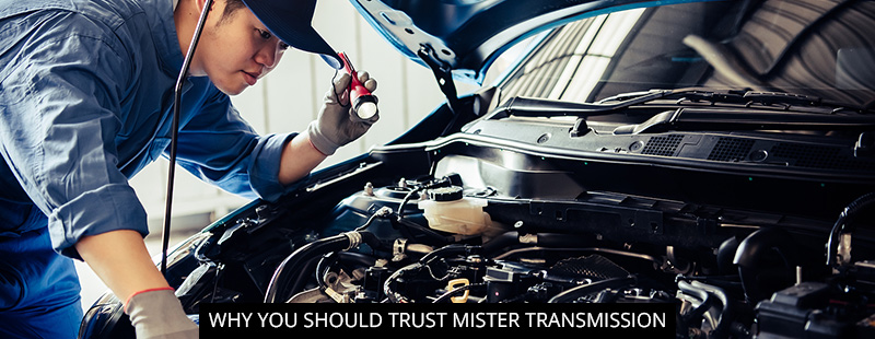 Why You Should Trust Mister Transmission