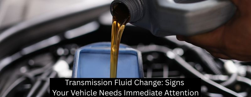 Transmission Fluid Change: Signs Your Vehicle Needs Immediate Attention